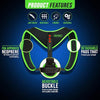 Magnetic Posture Corrector Belt – دعم الظهر وتحسين القوام | Comfortable Back Support Brace for Daily Use